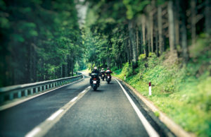 Group of a bikers on the highway between beautiful green pine tree forest, motorcyclists traveling along mountains road, freedom and active lifestyle concept