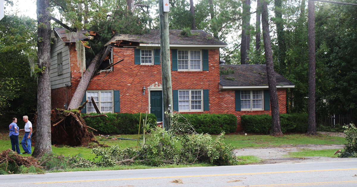 house with tree fallen on it